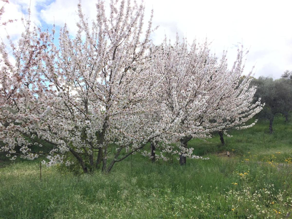 El Tornero Country house Aracena