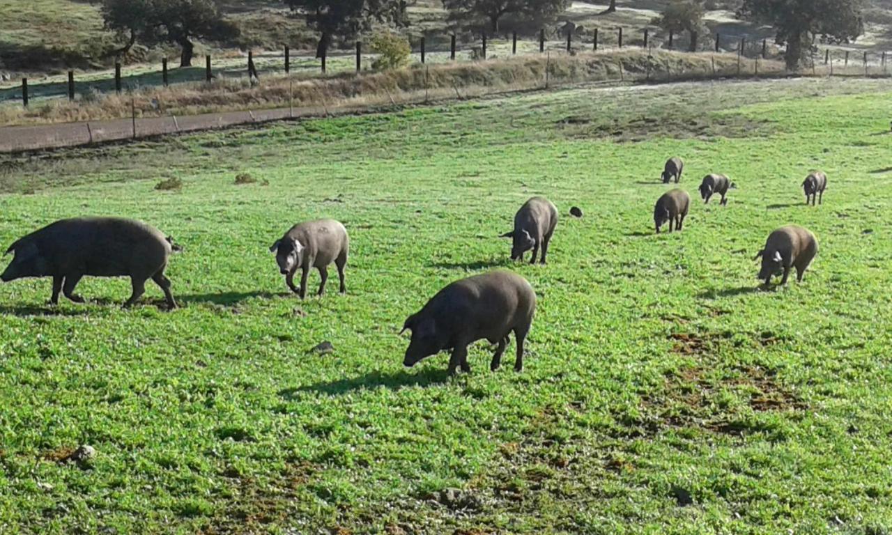 El Tornero Country house Aracena